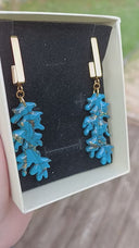 kelp turquoise bleu