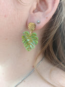 clous monstera
