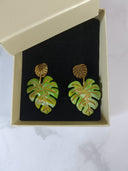 clous monstera