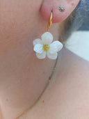 paire de grande fleurs blanche