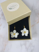 paire de petite fleurs blanche