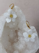 paire de petite fleurs blanche